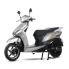 Chetna Metallic Grey -1