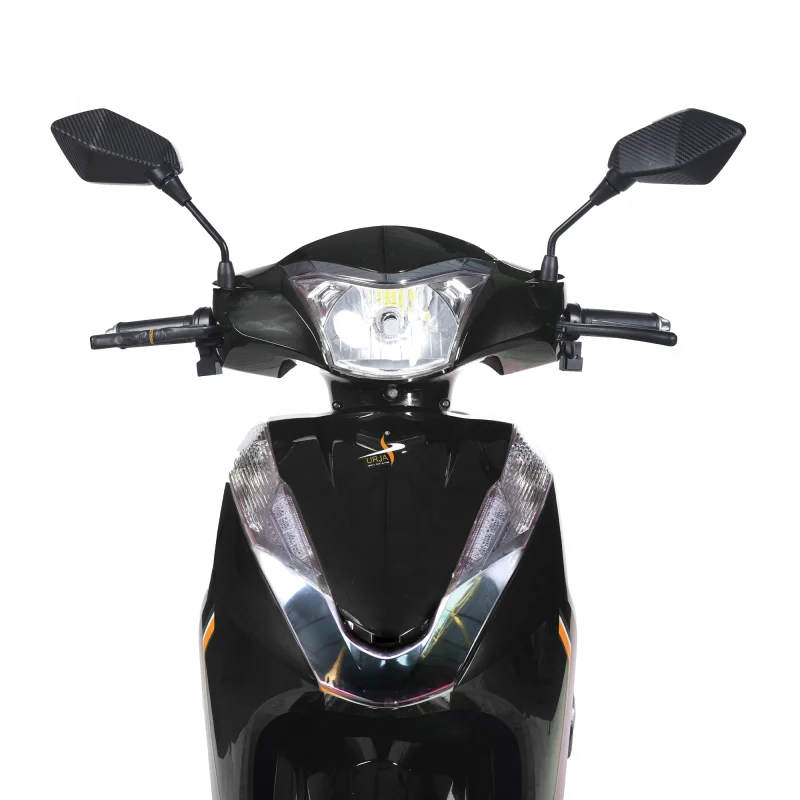 Coal Black -5