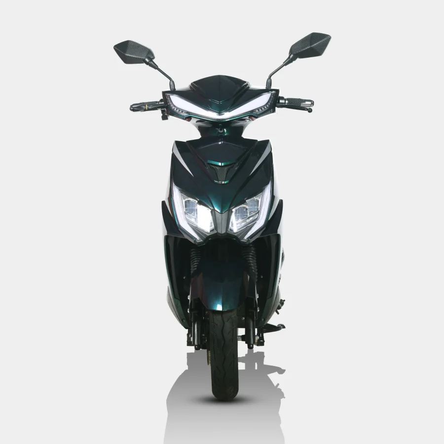 E-Zess Green Black 1 (2)