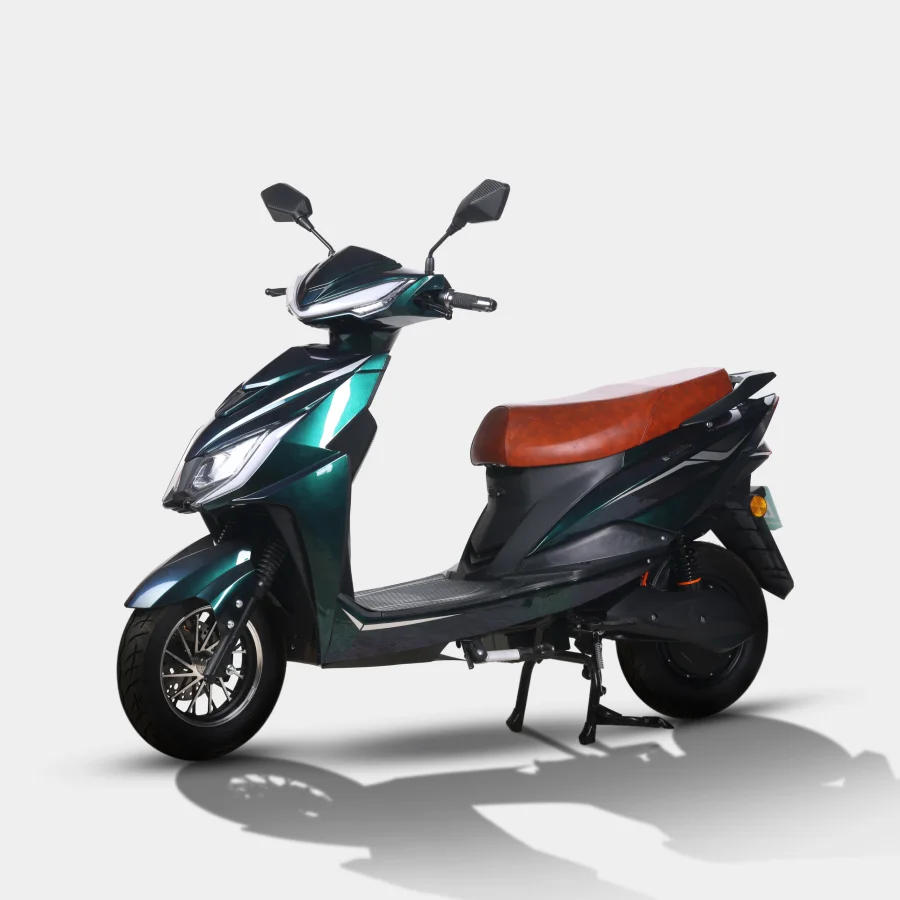 E-Zess Green Black 1 (6)