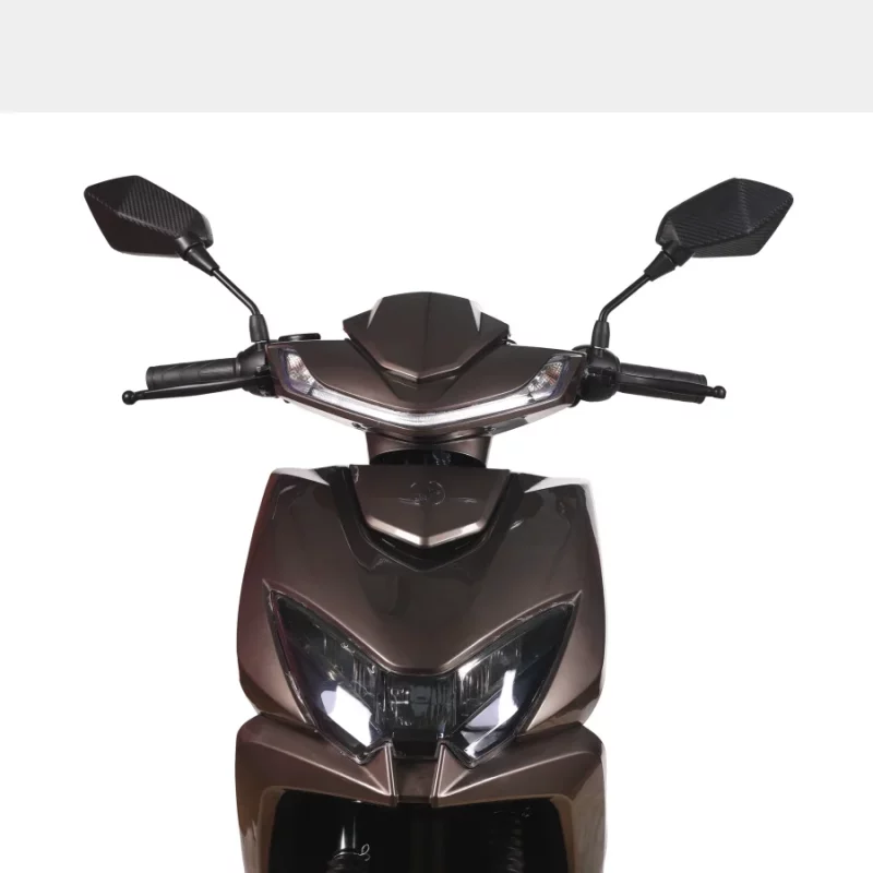 rudra light green+1 (3)